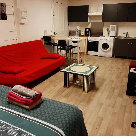 Studio 35M2 Terrasse Et Jardin Quartier Calme Au Centre Ville De Lourdes Exterior foto