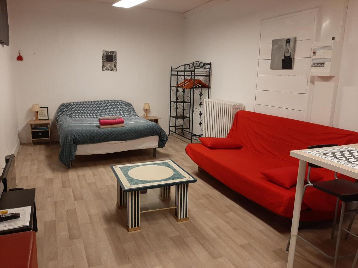 Studio 35M2 Terrasse Et Jardin Quartier Calme Au Centre Ville De Lourdes Exterior foto